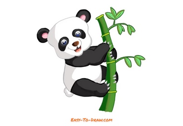 pencil drawings of pandas